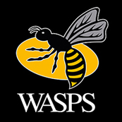 Wasps Rugby